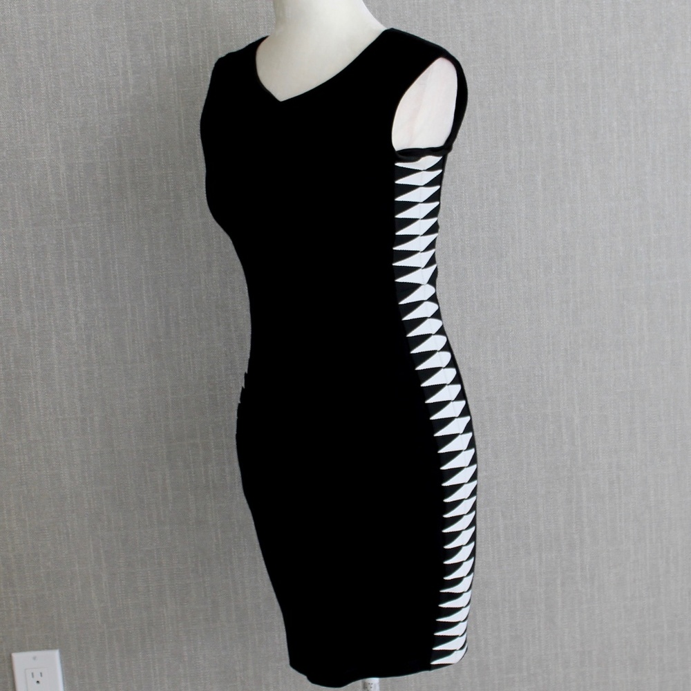 Bailey44 Patterned-Side Bodycon Dress